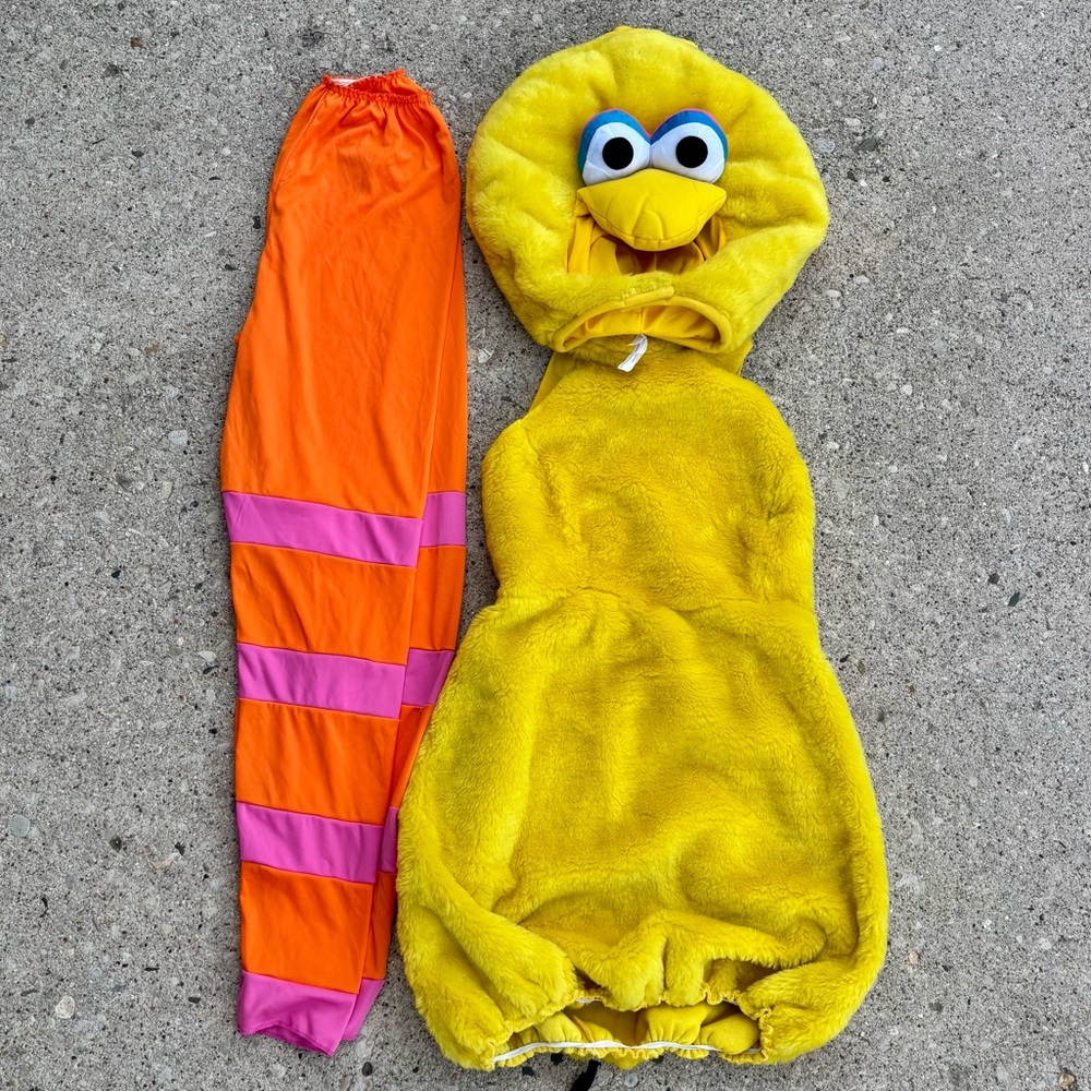 🐤 Big Bird Costume
